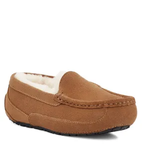 Ascot in Chestnut Suede by UGG